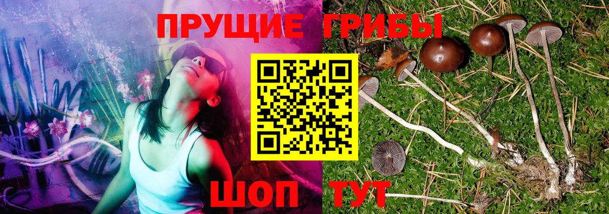Рассказово  Галлюциногенные грибы Psilocybine cubensis  Вход с VPN  Галлюциногенные грибы Magic Shrooms 