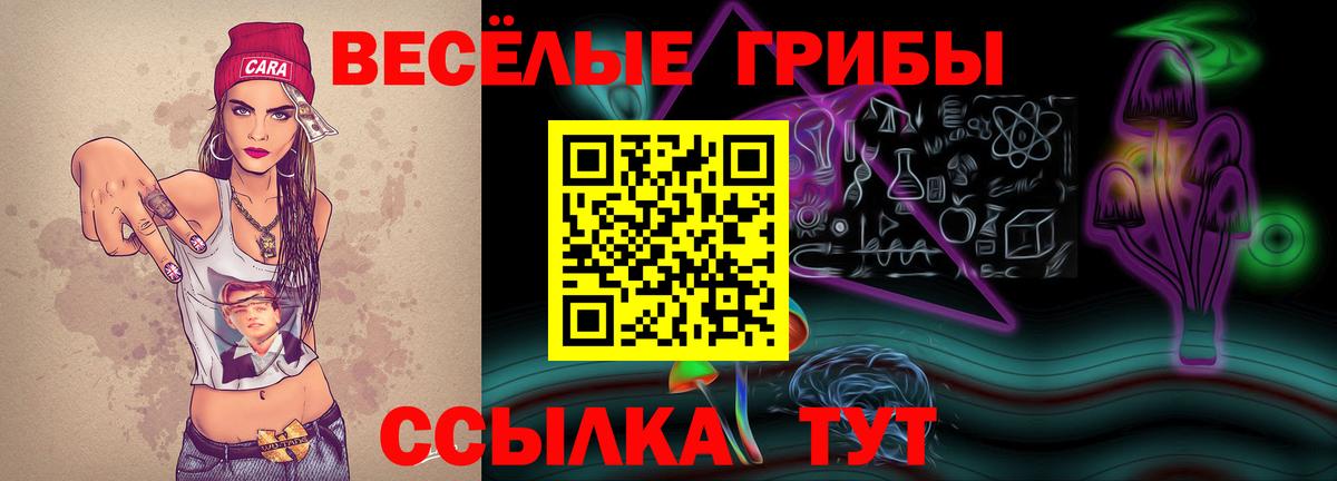 Галлюциногенные грибы мицелий Рассказово