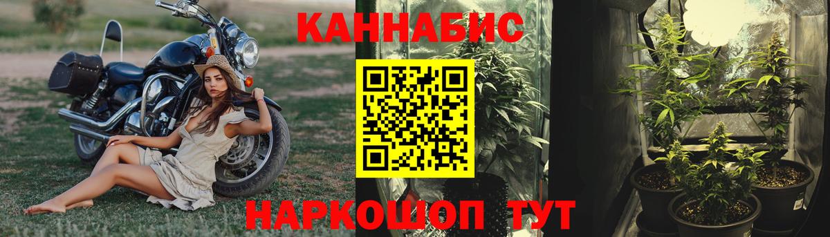 Бошки Шишки Amnesia Рассказово